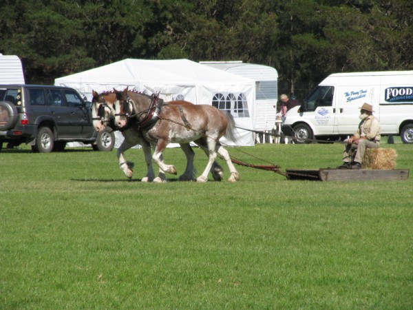 IMG_0870.jpg
